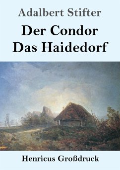 Der Condor / Das Haidedorf (Großdruck) - Stifter, Adalbert