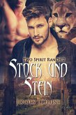 Stock und Stein (eBook, ePUB)
