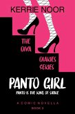 Panto Girl (The Diva Diaries, #3) (eBook, ePUB)