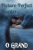 Picture-Perfect Murder (Murder Games, #1) (eBook, ePUB)