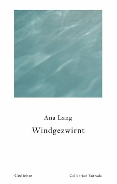 Windgezwirnt (eBook, ePUB)