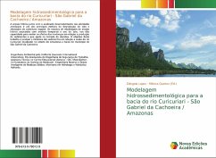 Modelagem hidrossedimentológica para a bacia do rio Curicuriari - São Gabriel da Cachoeira / Amazonas - Lopes, Dângela