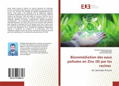 Bioremédiation des eaux polluées en Zinc (II) par les racines - Zenasni, Mohamed Amine;Meroufel, Bahia;Naar, Fatima Zohra