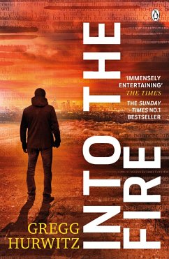 Into the Fire (eBook, ePUB) - Hurwitz, Gregg