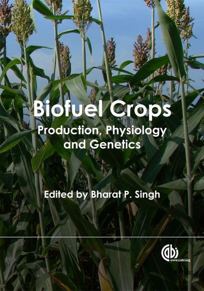 Biofuel Crops (eBook, ePUB)