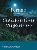 Fernab (eBook, ePUB)