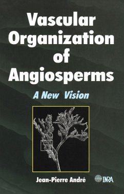 Vascular Organization of Angiosperms (eBook, ePUB) - Andre, Jean-Pierre