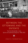 Between the Ottomans and the Entente (eBook, PDF)
