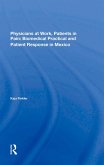 Physicians At Work, Patients In Pain (eBook, PDF)