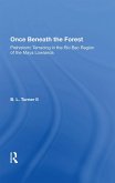 Once Beneath The Forest (eBook, PDF)