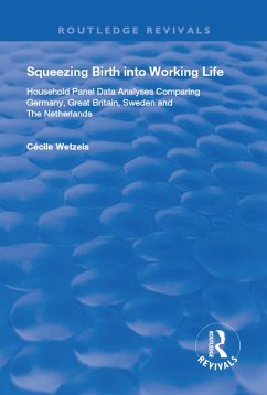 Squeezing Birth into Working Life (eBook, ePUB) - Wetzels, Cécile