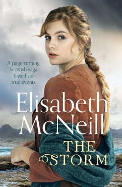 Cover The Storm (eBook, ePUB)