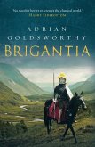 Brigantia (eBook, ePUB)