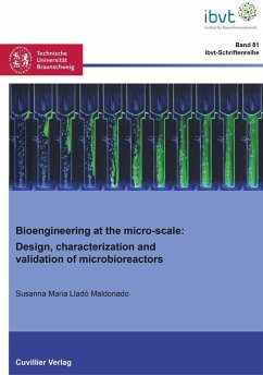 Bioengineering at the micro-scale (eBook, PDF)