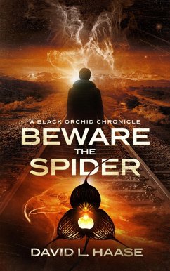 Beware the Spider (eBook, ePUB) - Haase, David L.