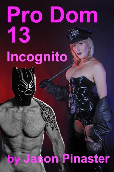 Pro Dom 13 Incognito (eBook, ePUB) Pro Dom 13 Incognito (eBook, ePUB)