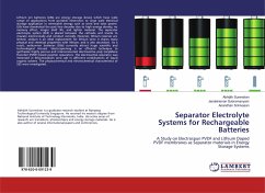 Separator Electrolyte Systems for Rechargeable Batteries - Surendran, Abhijith;Subramanyam, Janakiraman;Srinivasan, Anandhan