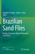 Brazilian Sand Flies - Bild 1