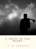 A Thief in the Night (eBook, ePUB)