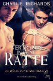 Vertrauen in seine Ratte (eBook, ePUB)