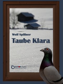 Taube Klara oder Zufälle gibt es nicht (eBook, ePUB) - Spillner, Wolf