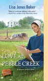 Love at Pebble Creek (eBook, ePUB)