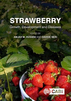 Strawberry (eBook, ePUB)