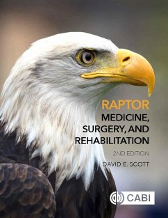 Cover Raptor Medicine, Surgery, and Rehabilitation (eBook, ePUB)