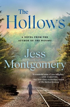 Cover The Hollows (eBook, ePUB)