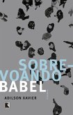 Sobrevoando Babel (eBook, ePUB)