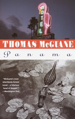 Cover Panama (eBook, ePUB)