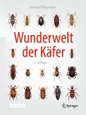 Wunderwelt der Käfer (eBook, PDF)