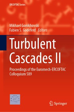 Turbulent Cascades II (eBook, PDF)