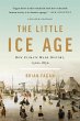 The Little Ice Age (eBook, ePUB) - Bild 1