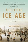 The Little Ice Age (eBook, ePUB)