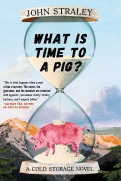 What Is Time to a Pig? (eBook, ePUB) - Straley, John