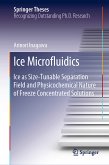 Ice Microfluidics (eBook, PDF)