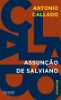 Assunção de Salviano (eBook, ePUB) - Bild 1