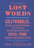 The Little Book of Lost Words (eBook, ePUB)