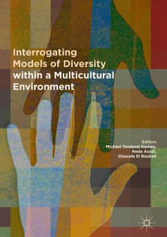 Interrogating Models of Diversity within a Multicultural Environment (eBook, PDF)