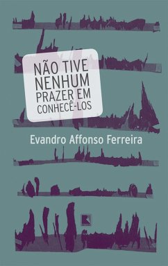 Não tive nenhum prazer em conhecê-los (eBook, ePUB) - Ferreira, Evandro Affonso