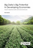 Big Data's Big Potential in Developing Economies (eBook, ePUB)