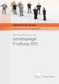 Gehaltsspiegel IT-Leitung 2013 - Download PDF (eBook, PDF)