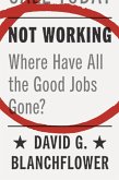 Not Working (eBook, ePUB)