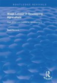 Wage Labour in Developing Agriculture (eBook, ePUB)