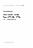 Hethitische Texte. Bo 4658-Bo 5000 (eBook, PDF)