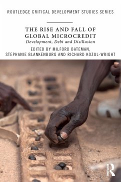 The Rise and Fall of Global Microcredit (eBook, ePUB)