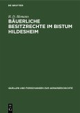 Bäuerliche Besitzrechte im Bistum Hildesheim (eBook, PDF)