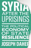 Syria after the Uprisings (eBook, ePUB)