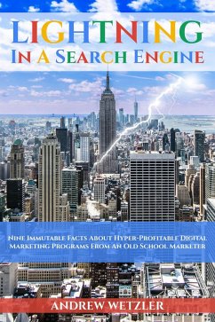 Lightning In A Search Engine (eBook, ePUB) - Wetzler, Andrew